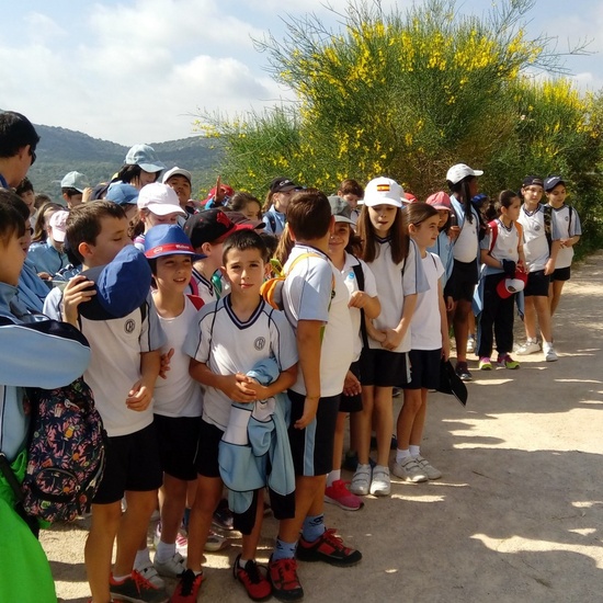 Camino de Santiago 7