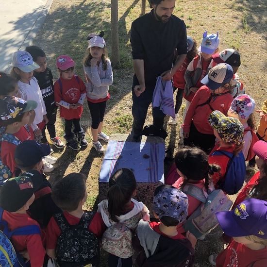 Bosque Metropolitano 1º A