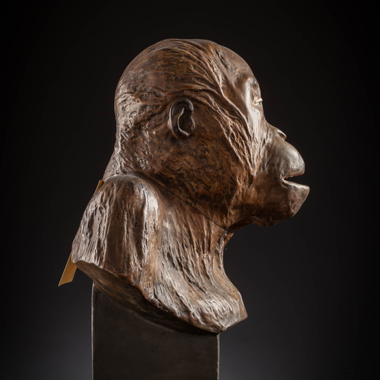 IES_SANISIDRO_MUSEO_Zoolgía_081