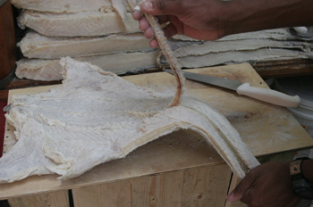 Cortando bacalao en el mercado de abastos de Sao Paulo, Brasil