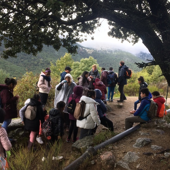 Excursión de tres días a Cercedilla 5º y 6º 17