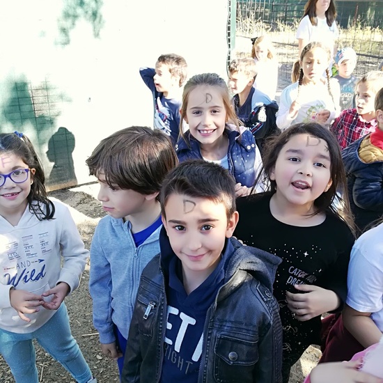 Granja Escuela 1º y 2º EP 2017-18 41