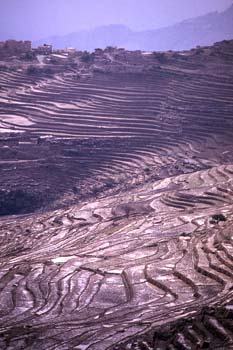 Laderas aterrazadas en las proximidades de Kohlan, Yemen