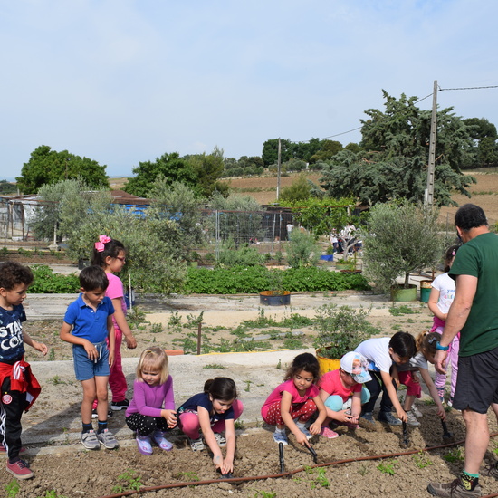 Siembra Huerta Balta 5 años 2018 27