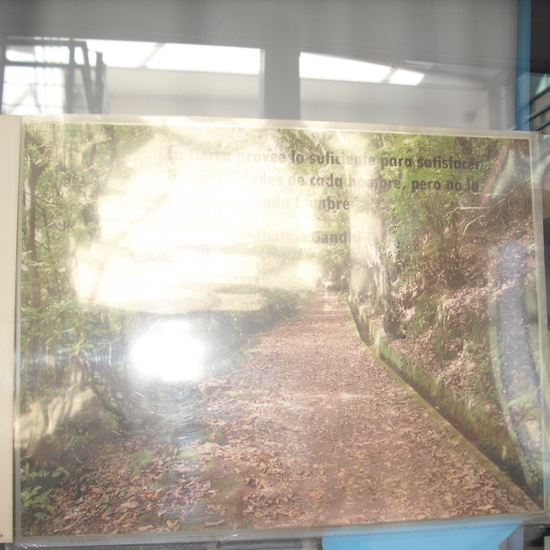 granja cuarta parte 43