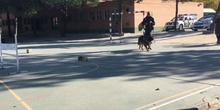 2017_11_13_UNIDAD CANINA MUNICIPAL_CEIP FDLR_LAS ROZAS_2017 11