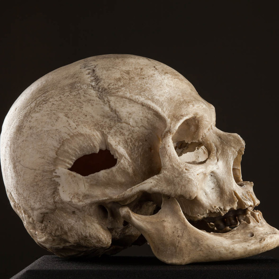 IES_ISABELLACATOLICA_BIOLOGIA_576