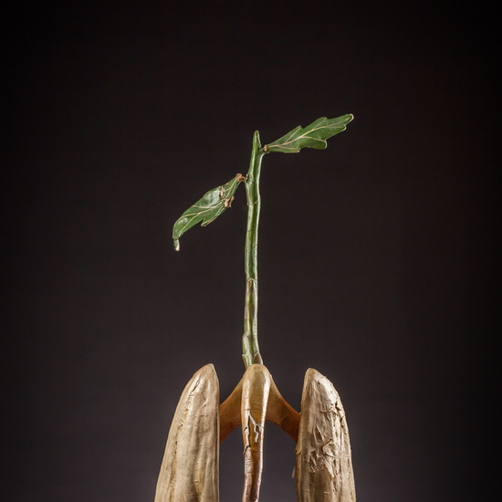 IES_ISABELLACATOLICA_BIOLOGIA_185