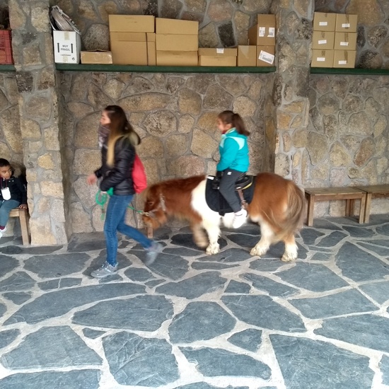 Granja de los Cuentos Infantiles II 29