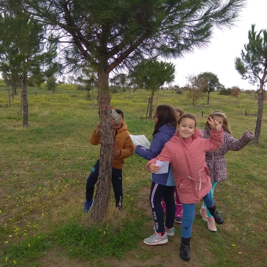 REVOLOTEANDO POR BOSQUE SUR -  3º PRIMARIA (CURSO 19/20) 15