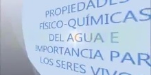 Propiedades del agua- Funciones biológicas