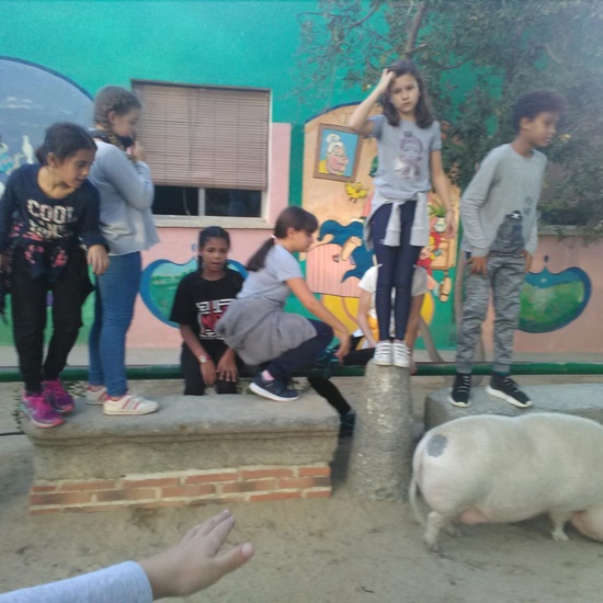 NOCHE MÁGICA 2019 (1ª parte) 13