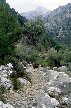 Calzada. Mallorca