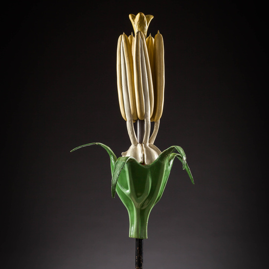 IES_SANISIDRO_MUSEO_Botanica_011