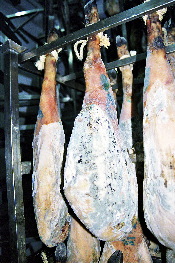 Jamón enmohecido