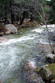 Río Manzanares, La Pedriza, Madrid