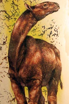 Animal prehistórico