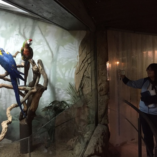 Faunia: taller y visita guiada 18