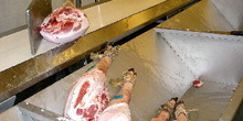 Proceso del jamón