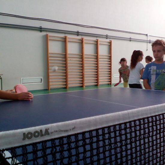 ping-pong 21