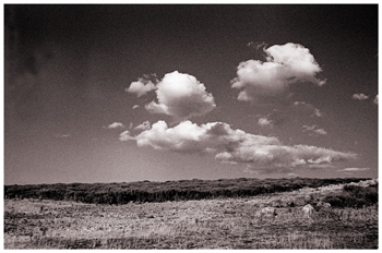 Fotografía artística realizada con un filtro rojo