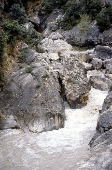 Manantial en la montaña