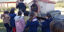 Infantil 5C visita la Granja_fotos (2)_CEIP FDLR_Las Rozas