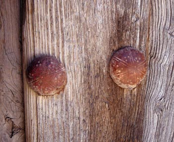 Detalle de herraje de puerta rural