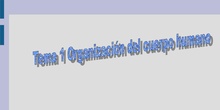 Tema 1 Organización del cuerpo humano (I)