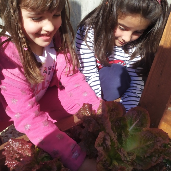 1B Visita Huerto del CEIP El Greco