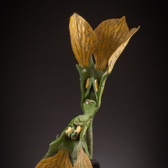 IES_ISABELLACATOLICA_BIOLOGIA_044