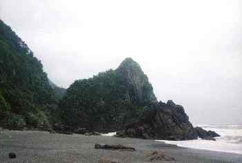 Bosque tropical y playa en el parque nacional Abel Tasman, Nueva