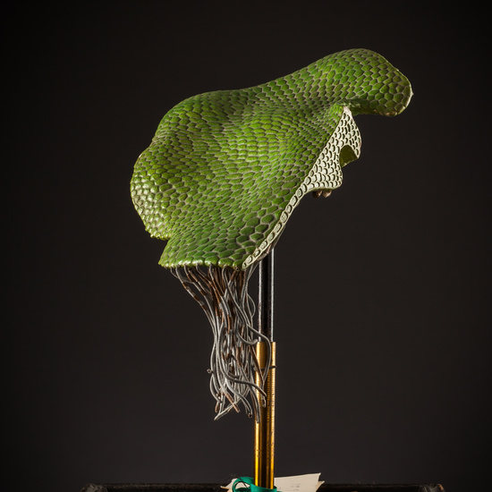 IES_SANISIDRO_BIOLOGIA_227