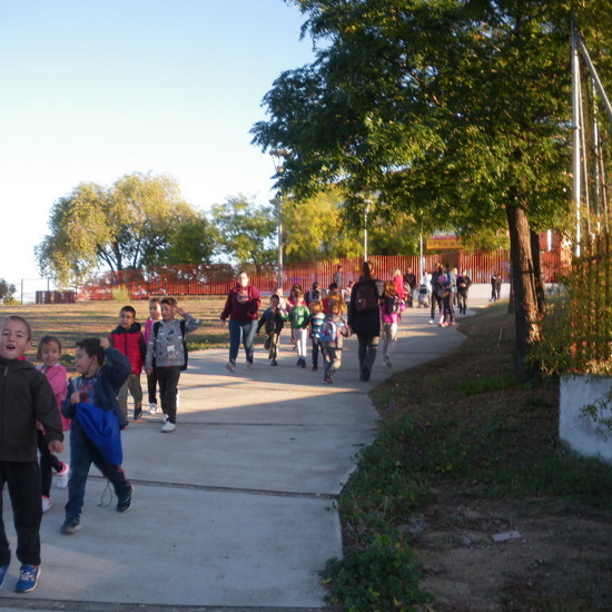 SALIDA A GRANJA ESCUELA EL PALOMAR (Chapinería ) 12