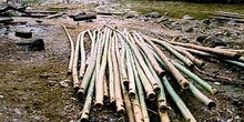 Bambú apilado para la construcción de balsas, Tailandia