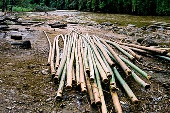 Bambú apilado para la construcción de balsas, Tailandia