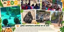 ZOO 1y2