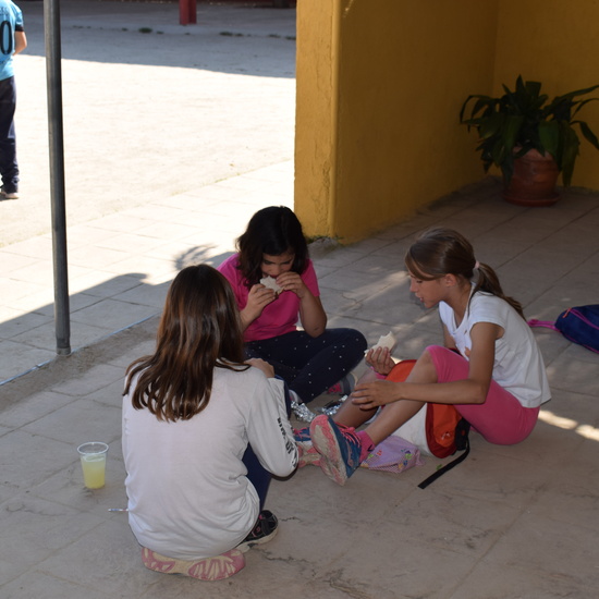Salida en bici 4º de Primaria 28