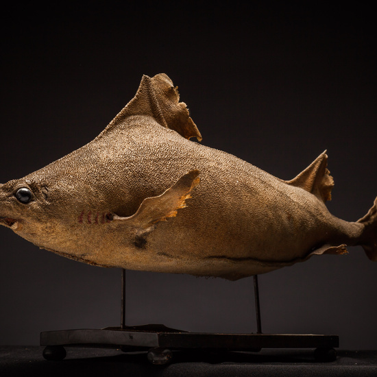 IES_SANISIDRO_BIOLOGIA_384