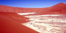 Laguna muerta de Sossusvlei, Namibia