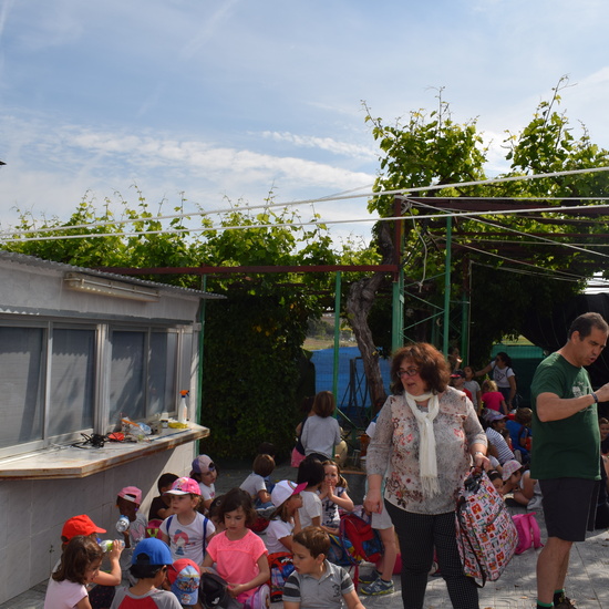 Siembra Huerta Balta 5 años 2018 15