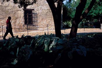 Huerto junto a una vivienda