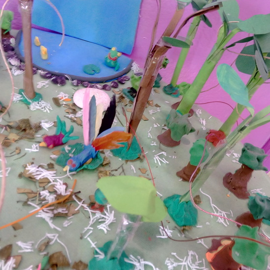 ECOSISTEMAS 5º CURSO 22