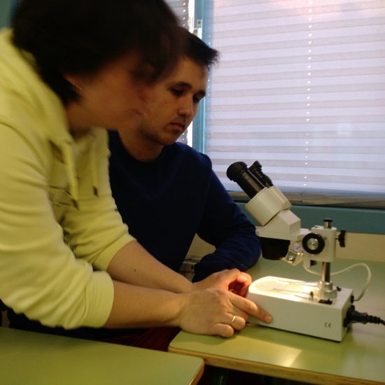 Usando el microscopio 7