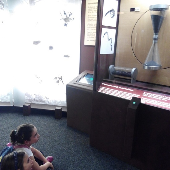 Visita a la exposición El Bosque. 1º 2º Primaria. CEIP Pinocho. 2016/17 8