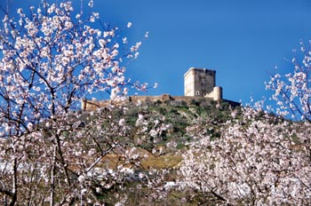 Castillo de los Duques de Feria - Feria, Badajoz