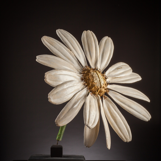 IES_ISABELLACATOLICA_BIOLOGIA_022