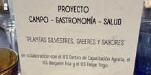 20260513 Cartel Todos somos Simone 2026