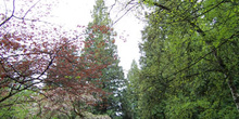 Parque de la reina Elizabeth, Vancouver