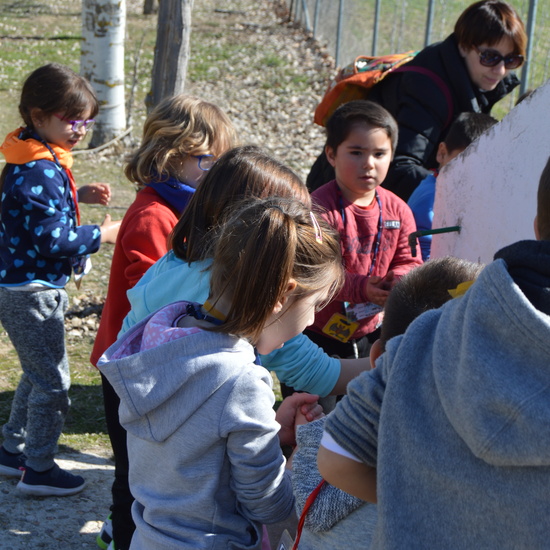 GRANJA ESCUELA ALBITANA 2018 39